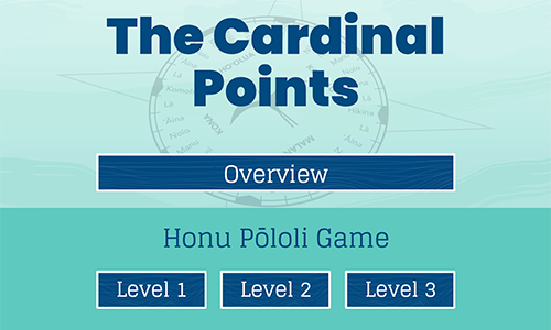 Cardinal Points Overview: Digital Activity