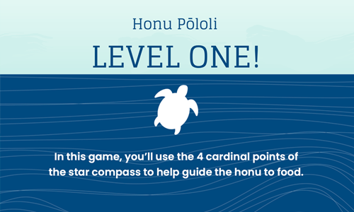 Honu Pōloli Game: Digital Activity