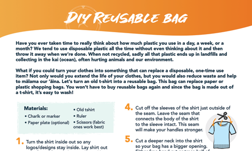 DIY Reusable bag: Hands-on Activity