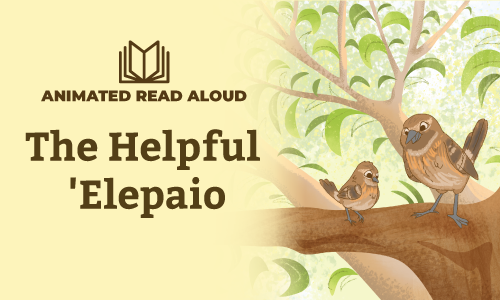 The Helpful `Elepaio: Video