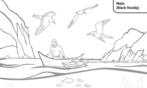 Land-Based Seabirds in Hawaii - Coloring Pages