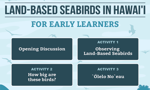 Land-Based Seabirds in Hawaii