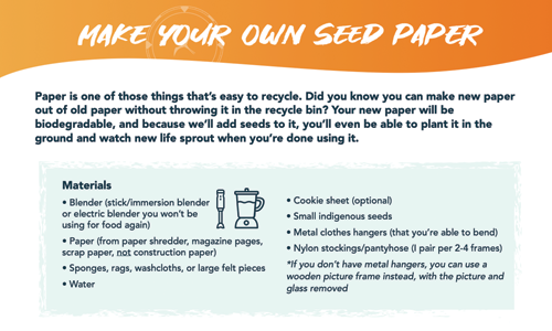 Make your own seed paper: Hands-on Activity