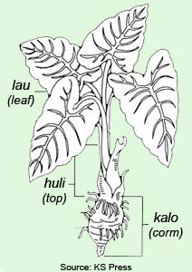 Kalo Parts